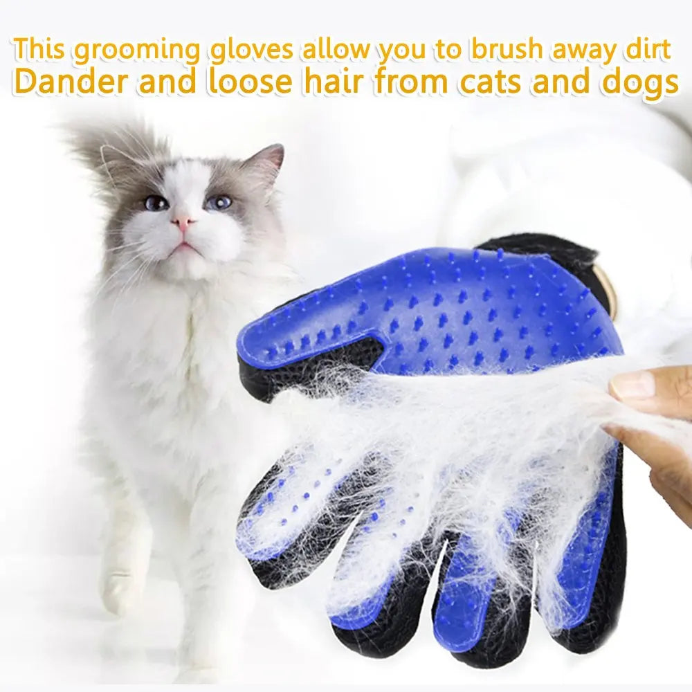 Gant de toilettage