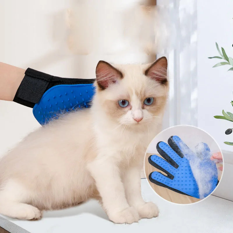 Gant de toilettage